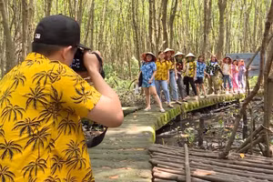 Du khách tham quan rừng đước Vườn Quốc gia Mũi Cà Mau.