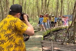 Du khách tham quan rừng đước Vườn Quốc gia Mũi Cà Mau.