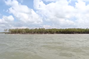 Bờ biển Đông tỉnh Cà Mau đang bị sạt lở nghiêm trọng.