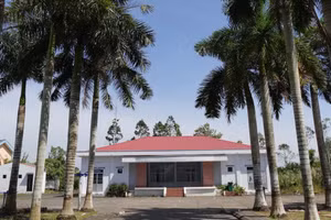 Khu Trung tâm Văn hóa - Thể thao xã Vĩnh Phú Đông (cũ) dự kiến được tận dụng để mở rộng trường học.