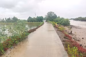 Một tuyến đường được đầu tư từ nguồn vốn Chương trình MTQG phát triển KT-XH vùng đồng bào DTTS giai đoạn 2021-2025 tại xã Thanh Tùng (Cà Mau).
