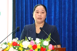 Bà Nguyễn Thu Tư, Giám đốc Sở Dân tộc và Tôn giáo phát biểu khai mạc lớp tập huấn.