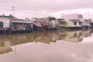 Dãy nhà ven sông thuộc địa bàn xã Tân Phong, thị xã Giá Rai, Bạc Liêu có nguy cơ sạt lở cao.