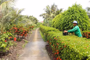 Diện mạo mới vùng đồng bào DTTS ở xã Tân Lộc, Cà Mau.