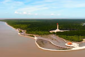 Cà Mau định vị thương hiệu du lịch theo định hướng an lành, hài hòa với thiên nhiên.