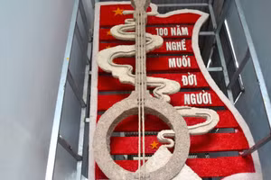 Một phần cây đàn kìm bằng muối do ông Hồ Chí Ân chế tác. (Ảnh: Hoàng Trần)