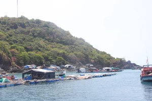 Khu vực cụm đảo Hòn Chuối, Cà Mau.