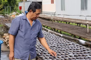 Một hộ đồng bào dân tộc thiểu số làm nghề sản xuất khô cá bổi tại xã Đá Bạc, Cà Mau.