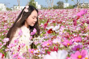 Thiếu nữ tạo dáng dưới cánh đồng hoa sao nhái.