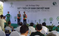 Tổ chức lễ trồng cây Chương trình “Quỹ 1 triệu cây xanh cho Việt Nam” ảnh 1