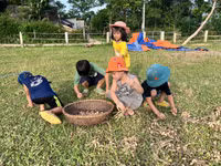 Mùa hè về quê để con rời xa điện thoại thông minh