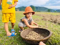 Mùa hè về quê để con rời xa điện thoại thông minh