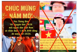 Nhiều tài khoản Tiktok lan truyền tin giả, thông tin chưa qua kiểm chứng. Ảnh: TG