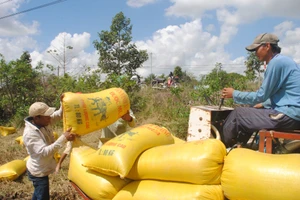 Đồng Tháp triển khai đồng bộ các chính sách hỗ trợ và các dự án thuộc Chương trình mục tiêu quốc gia giảm nghèo bền vững. Ảnh minh họa.