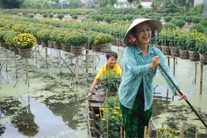 Làng hoa Sa Đéc có lịch sử hình thành và phát triển hơn 100 năm, giúp nhiều người dân địa phương phát triển kinh tế.