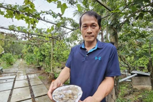 Anh Nguyễn Chí Thảo bên ngọc trai của mình. 