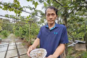 Anh Nguyễn Chí Thảo bên ngọc trai của mình. 