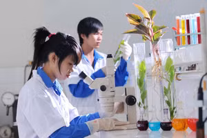 Tự chủ giáo dục không còn bị ràng buộc bởi tài chính, mở đường cho các trường phát huy năng lực, sáng tạo và nâng cao chất lượng đào tạo. Ảnh minh họa.