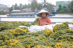 Với lịch sử hàng trăm năm, nghề trồng hoa kiểng Sa Đéc được đưa vào danh mục: Di sản văn hóa phi vật thể quốc gia.