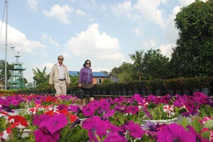 Làng hoa Sa Đéc có lịch sử hàng trăm năm, được nhiều du khách gần xa biết đến.