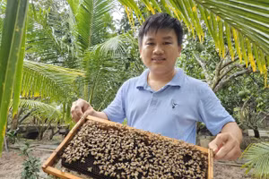 Anh Đạt bên cầu ong mật. Ảnh: Bình An.