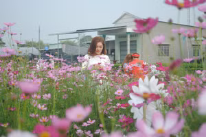 Làng hoa Sa Đéc thu hút hàng trăm nghìn du khách tham quan mỗi dịp Tết đến Xuân về.