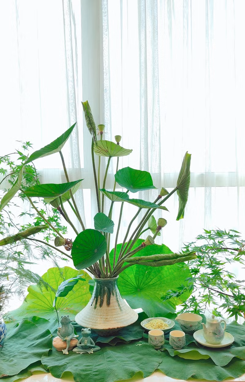 Những chiếc lá sen xua tan cái nóng oi ả của mùa hè. 8.jpg