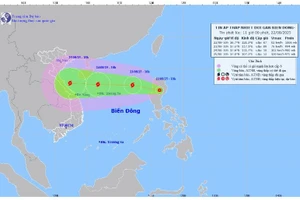 Dự báo hướng đi áp thấp nhiệt đới.