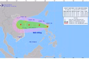 Dự báo hướng đi áp thấp nhiệt đới.