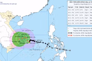 Bão Koto giảm cấp, hướng vào Gia Lai rồi suy yếu dần