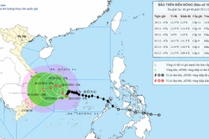 Bão Koto giảm cấp, hướng vào Gia Lai rồi suy yếu dần