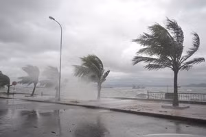 Bão Matmo tăng cấp nhanh