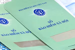 Khẩn trương rà soát tình hình doanh nghiệp chậm, trốn đóng BHXH