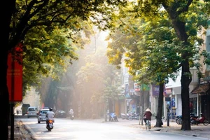 Ảnh minh họa.