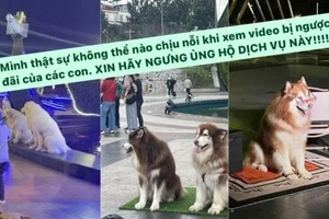 Tăng Thanh Hà và nhiều sao Việt kêu gọi tẩy chay dịch vụ này ở Đà Lạt 