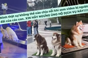 Tăng Thanh Hà và nhiều sao Việt kêu gọi tẩy chay dịch vụ này ở Đà Lạt 