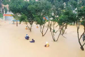 Hình ảnh trường học ở Lào Cai ngập sâu trong nước lũ