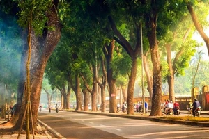 Ảnh minh họa.