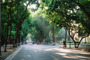 Ảnh minh hoạ.