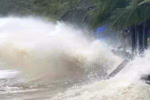 Quyết liệt, chủ động phòng chống bão Bualoi, ứng phó kịp thời với mưa lũ, sạt lở