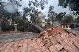 Bão Bualoi khiến 8 người chết, hàng nghìn hecta lúa và hoa màu ngập nặng