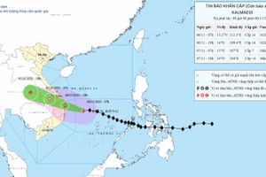 Hơn 6 triệu người từ Hà Tĩnh-Bình Thuận nhận thông báo đặc biệt về bão Kalmaegi