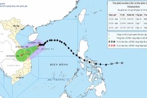 Bão Fengshen giật cấp 12, cách Đà Nẵng khoảng 270km