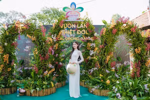 Hoa hậu Quế Anh hóa thân thành ‘đóa hoa lan’ gây thương nhớ