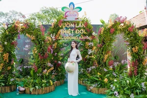 Hoa hậu Quế Anh hóa thân thành ‘đóa hoa lan’ gây thương nhớ