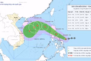 Bão Fengshen giật cấp 10, mỗi giờ đi được 20km