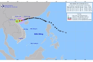 Dự báo hướng đi của bão WIPHA.