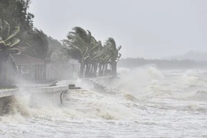 Bão Kalmaegi di chuyển nhanh, cách Quy Nhơn khoảng 150km