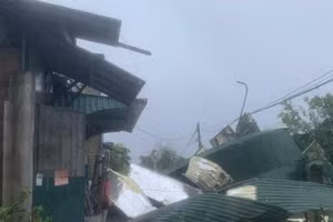 Bão Bualoi khiến 1 người chết, 4 người mất tích, hàng ngàn ha lúa bị ngập