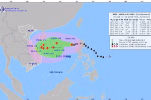 Bão số 6 giật cấp 12, biển động dữ dội